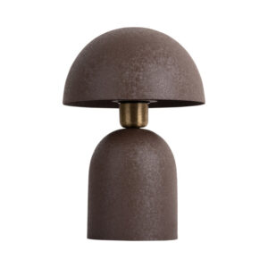 PRESENT TIME - BOAZ LAMPI, LÍTILL BRÚNN